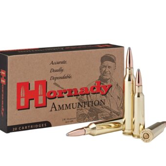 Hornady Ammo 250 Savage 100 Grain Interlock (20)