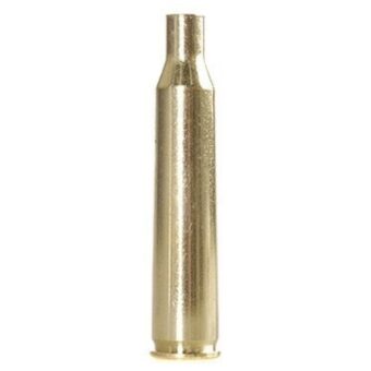 Winchester 220 Swift (100)