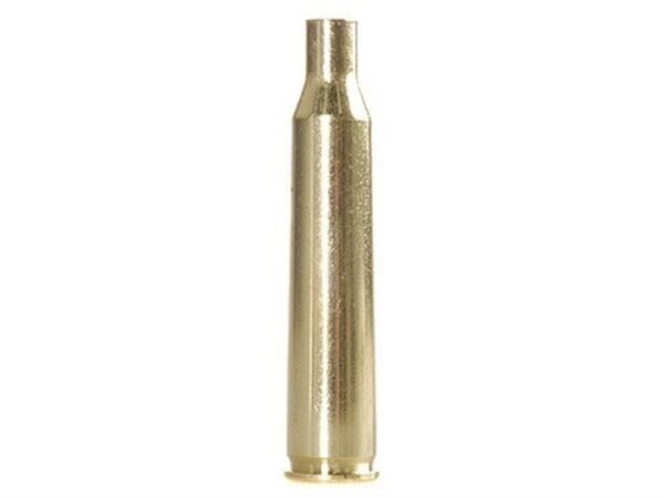 Winchester 220 Swift (100)
