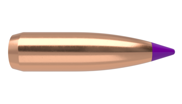 Nosler Ballistic Tip Bullets 0.243 (243 Caliber, 6mm) 80 Grain Polymer Tipped Box of 100