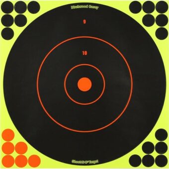 Birchwood Casey Shoot-N-C Bullseye Target 12" Pack of 5