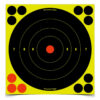 Birchwood Casey Shoot-N-C Bullseye Target 8" Pack of 6 - Image 2