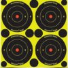 Birchwood Casey EZE-Scorer Sight In Target 12" Pack of 13 - Image 3
