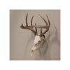 Allen EZ Mount Skull Trophy Mount Steel Black - Image 4