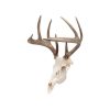 Allen EZ Mount Skull Trophy Mount Steel Black - Image 2