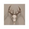 Allen EZ Mount Skull Trophy Mount Steel Black - Image 3