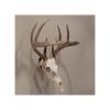 Allen EZ Mount Skull Trophy Mount Steel Black - Image 5