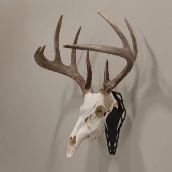 Allen EZ Mount Skull Peg European Mount Bracket Steel Black
