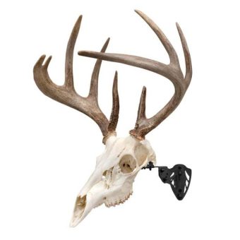Allen EZ Mount Trophy Skull Hanger European Mount Bracket Steel Black