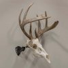 Allen EZ Mount Trophy Skull Hanger European Mount Bracket Steel Black - Image 2