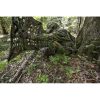 Ameristep Throwdown Ground Blind 25" x 91" Polyester ‎Mossy Oak Obsession - Image 5