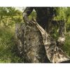 Ameristep Throwdown Ground Blind 25" x 91" Polyester ‎Mossy Oak Obsession - Image 4