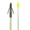 Muzzy Classic Fiberglass Bowfishing Arrow with Gar Point & Slide Green 32" - Image 2