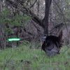 Nockturnal X Lighted Nock Green (.204 Diameter) Pack of 3 - Image 2