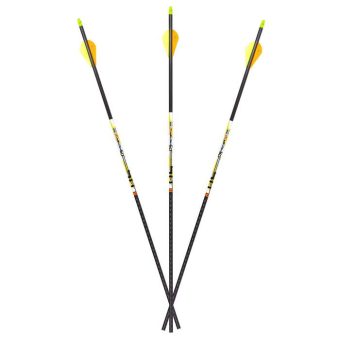 Carbon Express D-Stroyer SD Carbon Arrows 400 Spine 32" Pack of 6