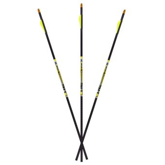 Carbon Express D-Stroyer Carbon Arrows 500 Spine 32" Pack of 6