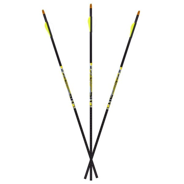 Carbon Express D-Stroyer Carbon Arrows 500 Spine 32" Pack of 6