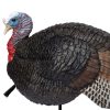 Primos Lil Gobstopper Jake Turkey Decoy - Image 2