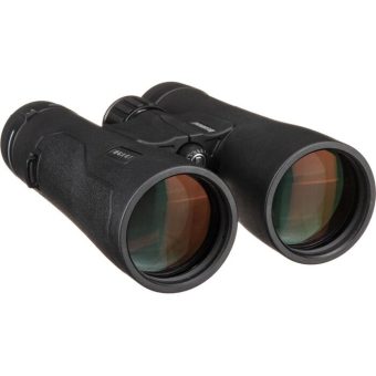 Bushnell Engage EDX Binoculars 12x50mm Black